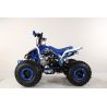Atv Quad BIG FOOD Ruedas 8 125cc 4t con 3 marchas adelante mas marcha atras