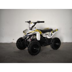 Mini Quad RACER 36V 12ah 1000W  ELECTRICO Ruedas 6" EDAD RECOMENDADA de 2 a 8 años