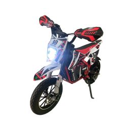 Mini motard Electrica extrem  DB03 36V 1000W