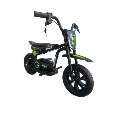 Mini motard Electrica extrem DP13