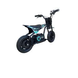 Mini motard Electrica extrem DP13