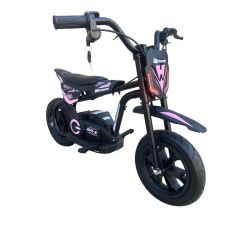 Mini motard Electrica extrem DP13