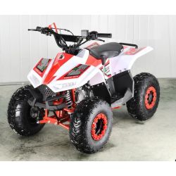 ATV Quad Extrem 125cc 4t ruedas 7" automatico