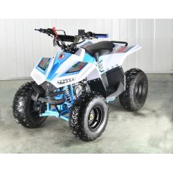 ATV Quad Extrem 125cc 4t ruedas 7" automatico