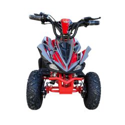 Mini Quad Extrem 03E 36V 1000W GREYNARDO
