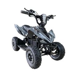 Mini Quad Extrem 03E 36V 1000W GREYNARDO