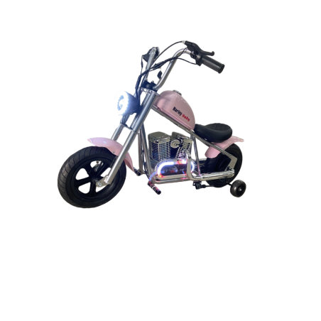 Mini moto electrica Baby harly 36V 350W Litio