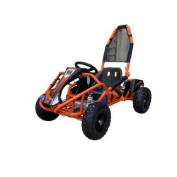 Kart cross buggy electrico 48V 1000W ah