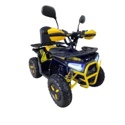 Mini quad electrico extrem 36V 1200W 09E