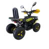 Mini quad electrico extrem 36V 1200W 09E