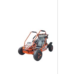 Buggy biplaza 125cc con radiador y marcha atras