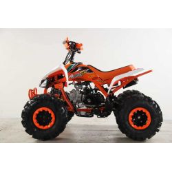 Atv Quad BIG FOOD Ruedas 8 125cc 4t con 3 marchas adelante mas marcha atras