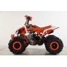Atv Quad BIG FOOD Ruedas 8 125cc 4t con 3 marchas adelante mas marcha atras