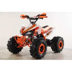 Atv Quad BIG FOOD Ruedas 8 125cc 4t con 3 marchas adelante mas marcha atras