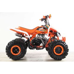 Atv Quad BIG FOOD Ruedas 8 125cc 4t con 3 marchas adelante mas marcha atras