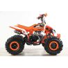 Atv Quad BIG FOOD Ruedas 8 125cc 4t con 3 marchas adelante mas marcha atras