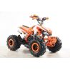 Atv Quad BIG FOOD Ruedas 8 125cc 4t con 3 marchas adelante mas marcha atras