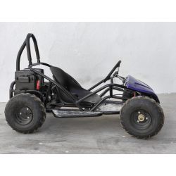 Mini Kart cross Buggy 1000W ruedas 6
