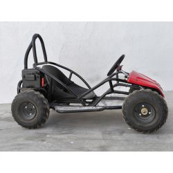 Mini Kart cross Buggy 1000W ruedas 6