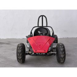 Mini Kart cross Buggy 1000W ruedas 6