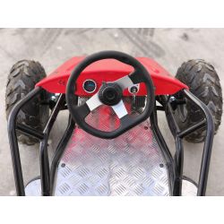 Mini Kart cross Buggy 1000W ruedas 6