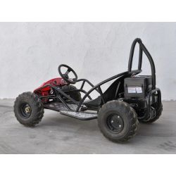 Mini Kart cross Buggy 1000W ruedas 6