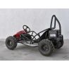 Mini Kart cross Buggy 1000W ruedas 6