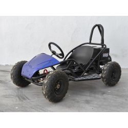 Mini Kart cross Buggy 1000W ruedas 6