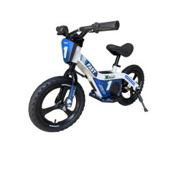 Bicicleta electrica FAST extrem 14"