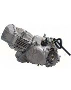 Z190cc Daytona 150/190cc